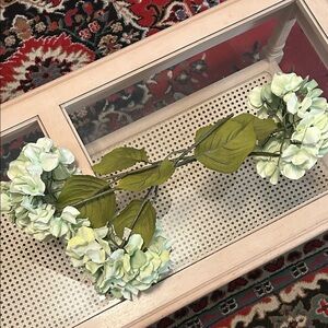 Elegant Green Hydrangea Stem